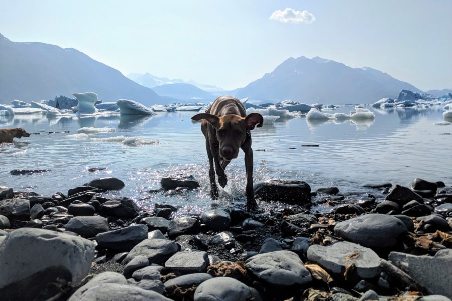 1st: Lake George in South Central Alaska by Sam Hartke