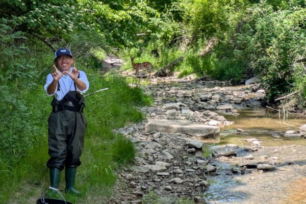 Woman in waders near a stream with a deer in the background
