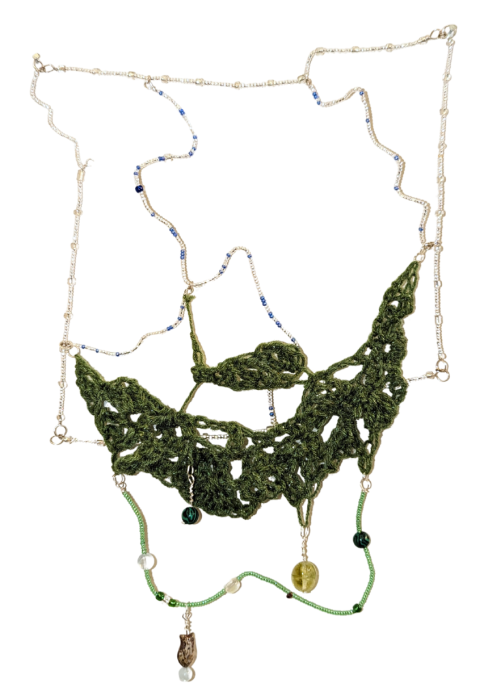 AshleyGraceDureke-DaneCountyWatershed